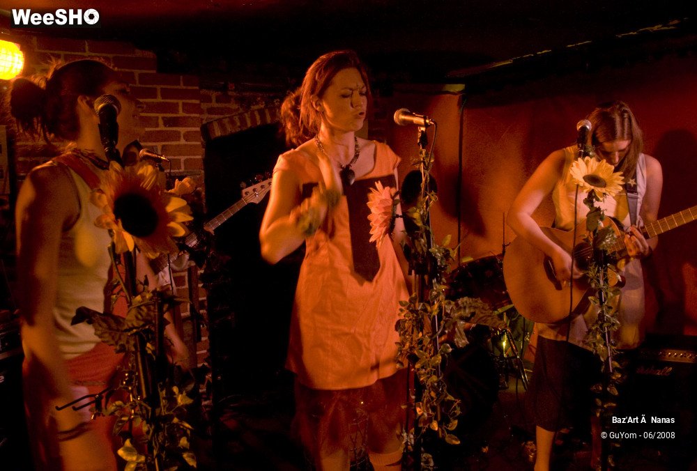 19/35 photos du spectacle Baz'Art à Nanas